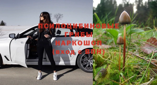 мет Заводоуковск