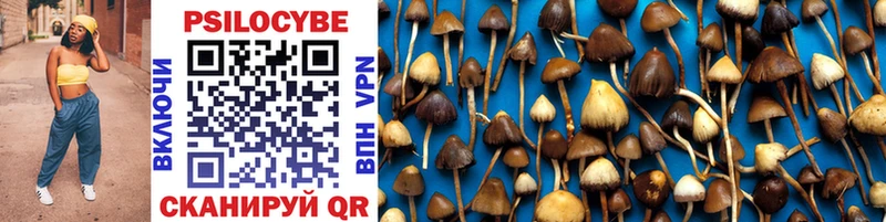 Галлюциногенные грибы Cubensis  Купить закладки  Клин 